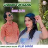About Chhori Toy Bana Chidiya Le Jau Song